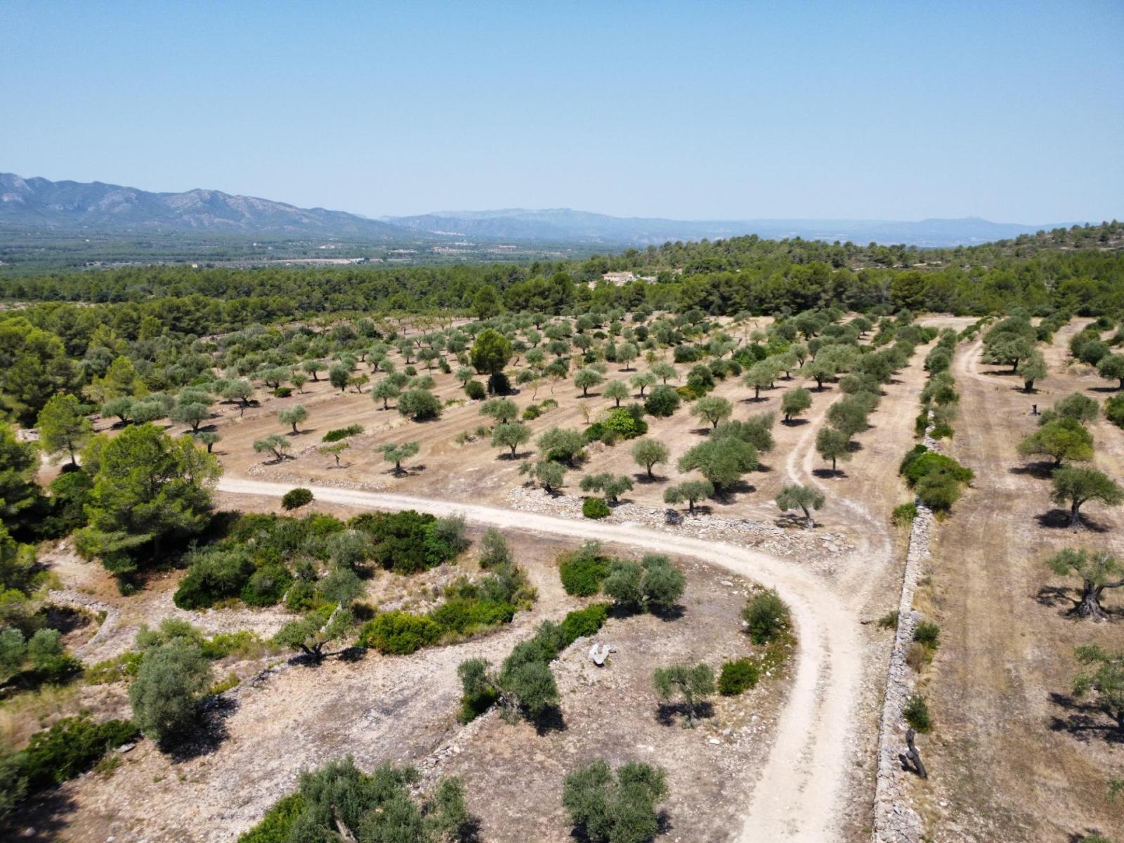 Finca en Venta en Tivissa