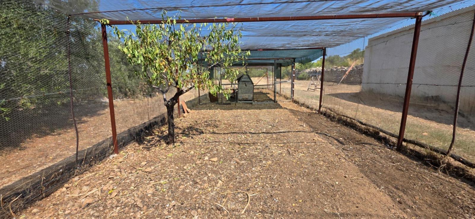 Finca en Venta en Tivissa