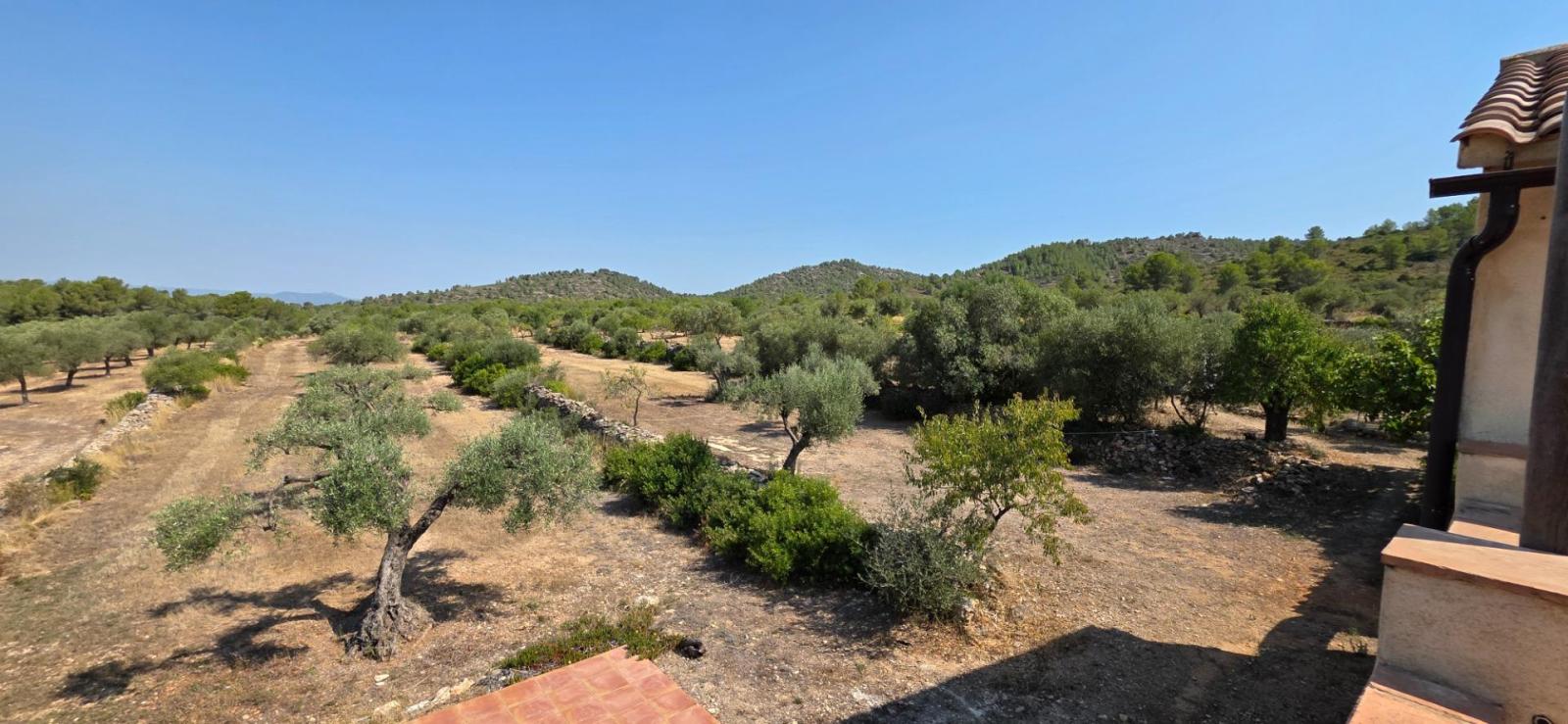 Finca en Venta en Tivissa
