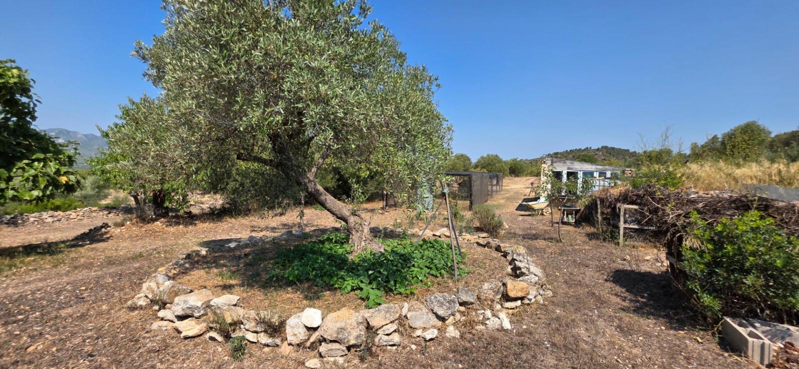 Finca en Venta en Tivissa