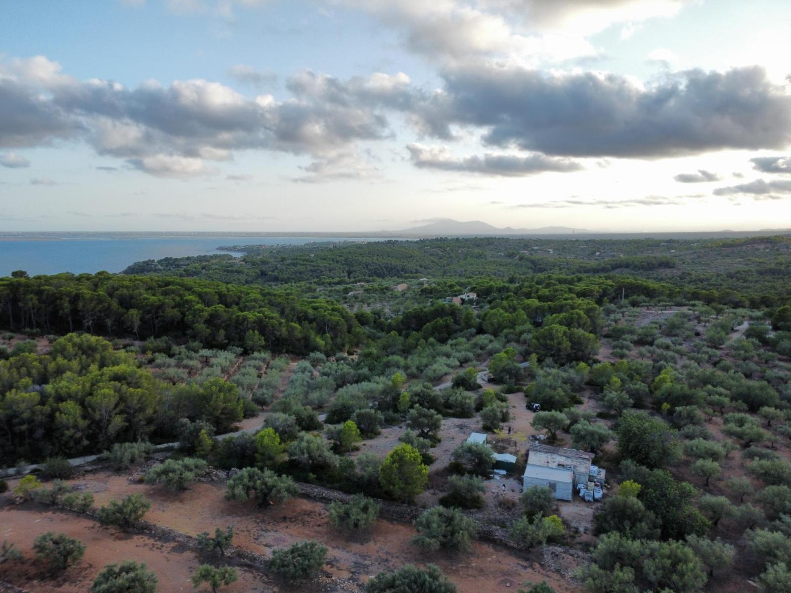 Finca en Venta en L' Ametlla de Mar
