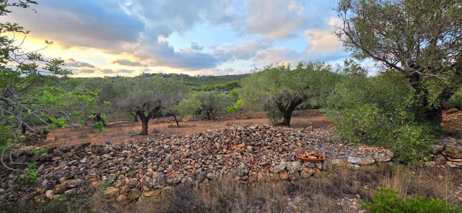 Finca en Venta en L' Ametlla de Mar