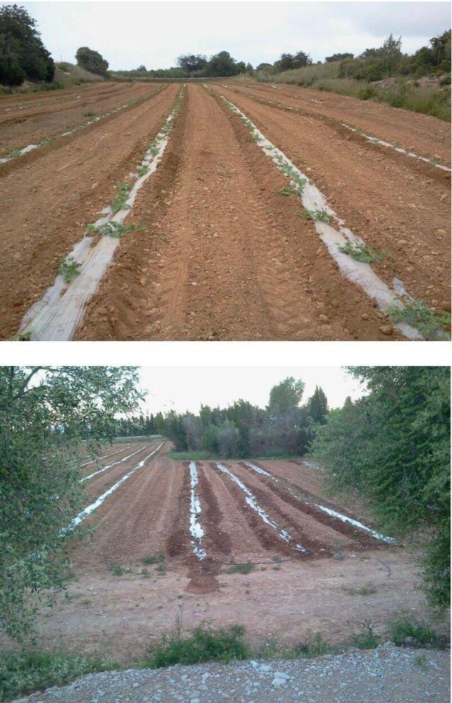 Finca en Venta en L' Ampolla