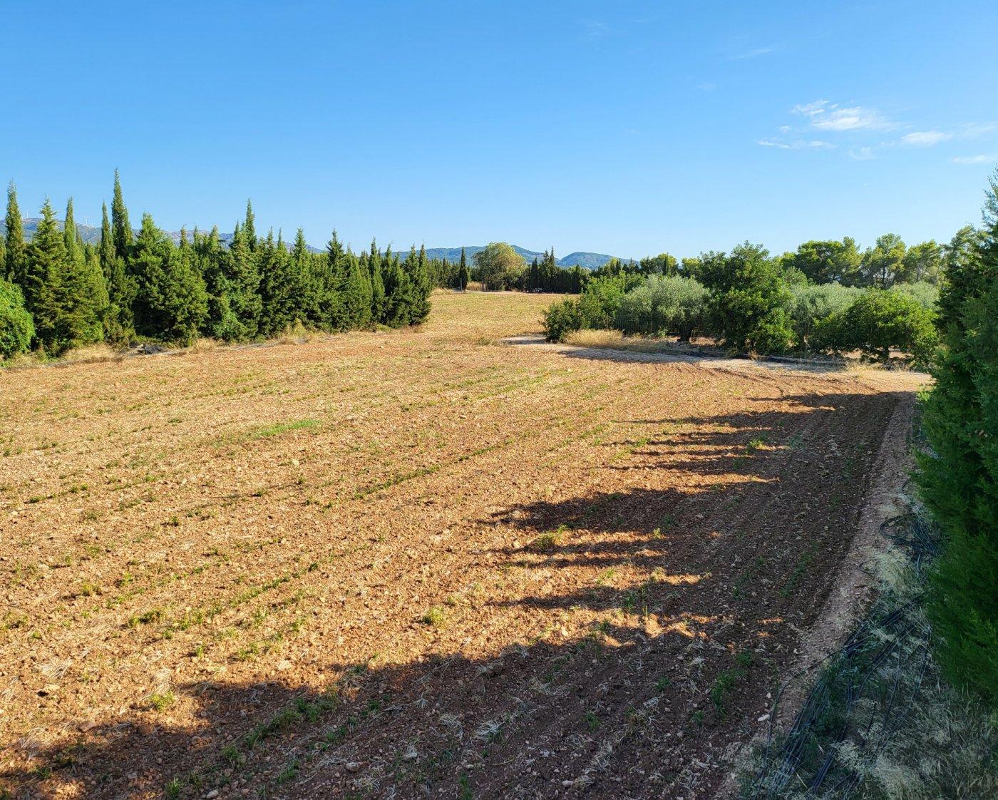 Finca en Venta en L' Ampolla