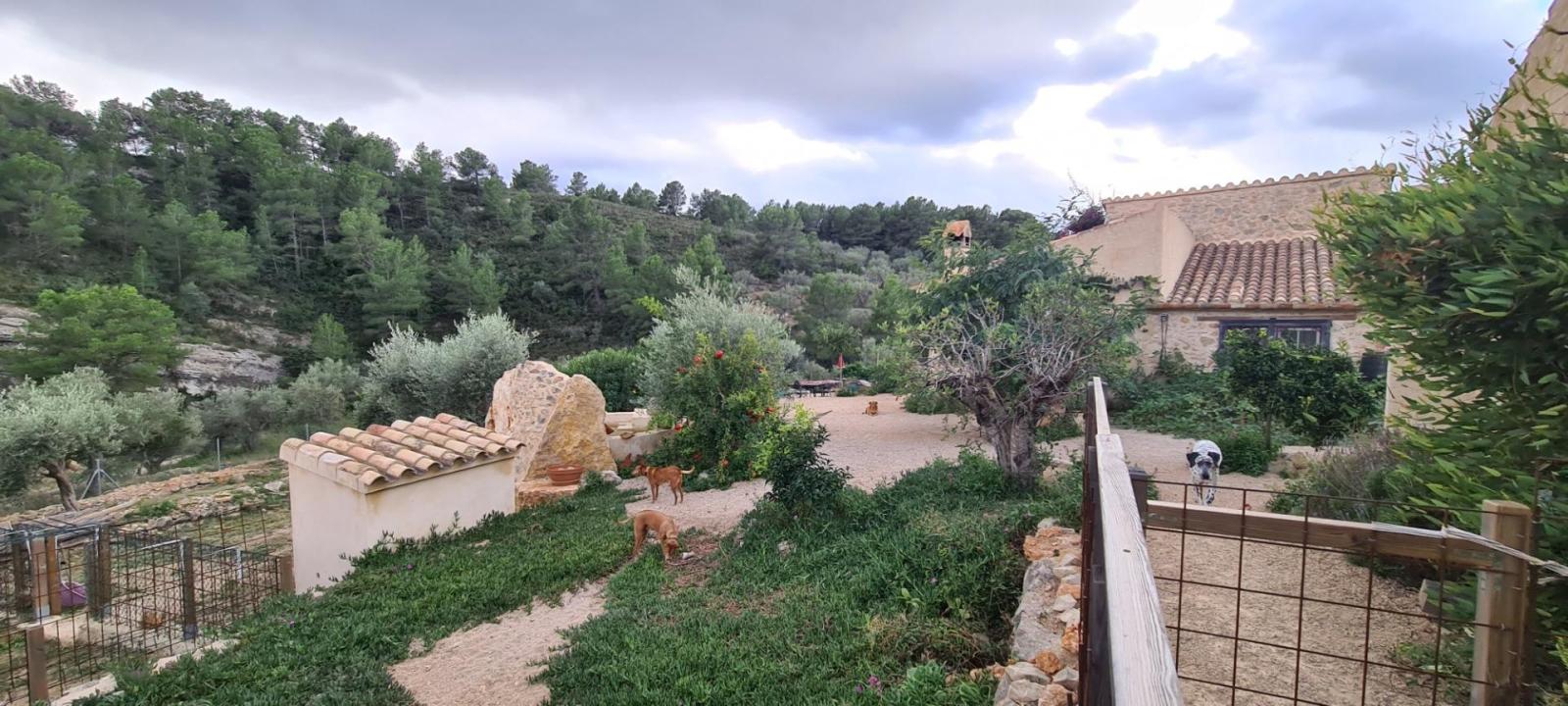 Finca en Venta en El Perelló