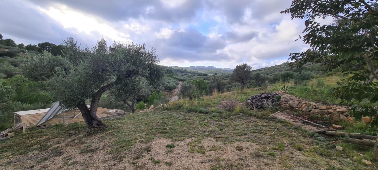 Finca en Venta en El Perelló