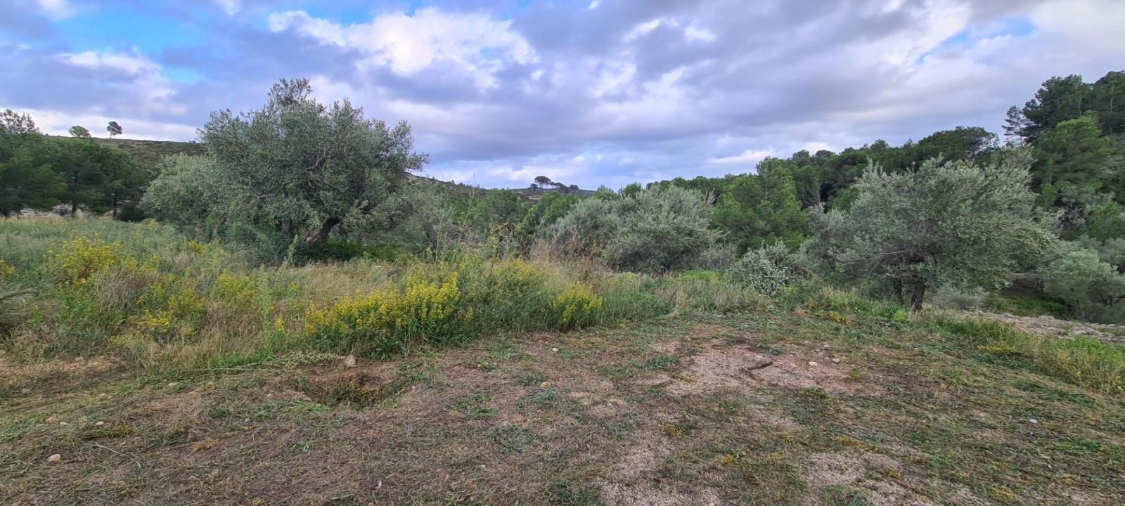 Finca en Venta en El Perelló