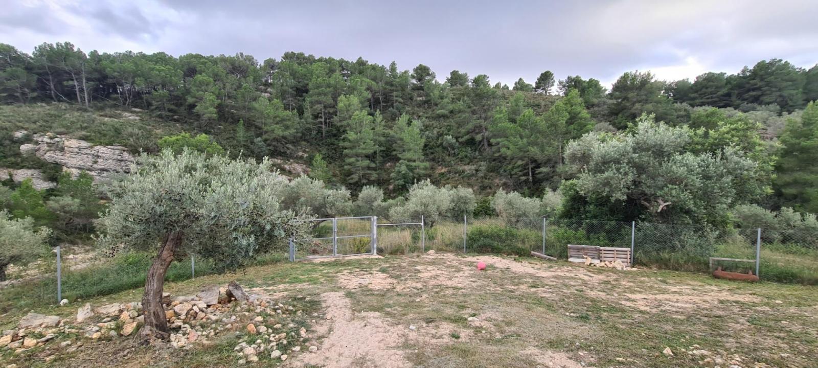 Finca en Venta en El Perelló