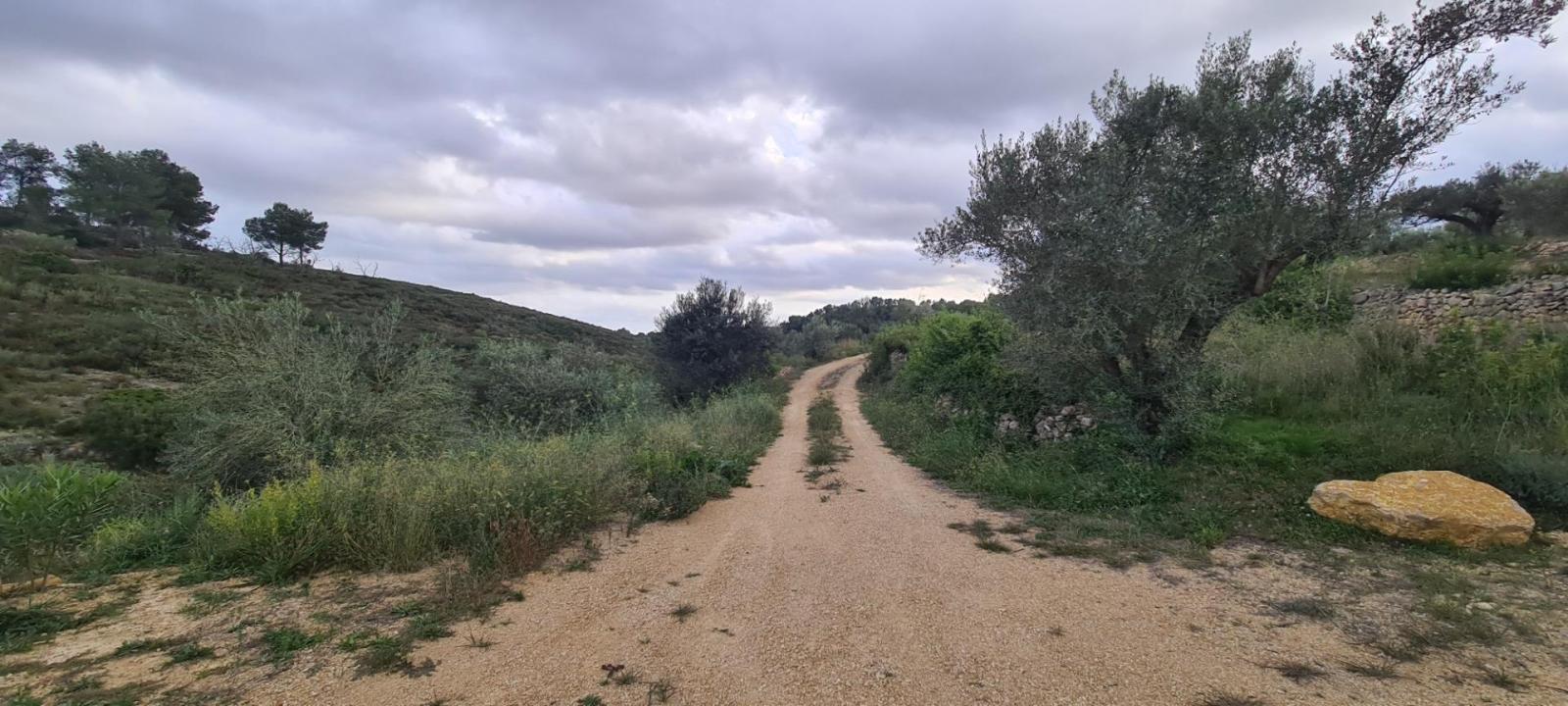 Finca en Venta en El Perelló