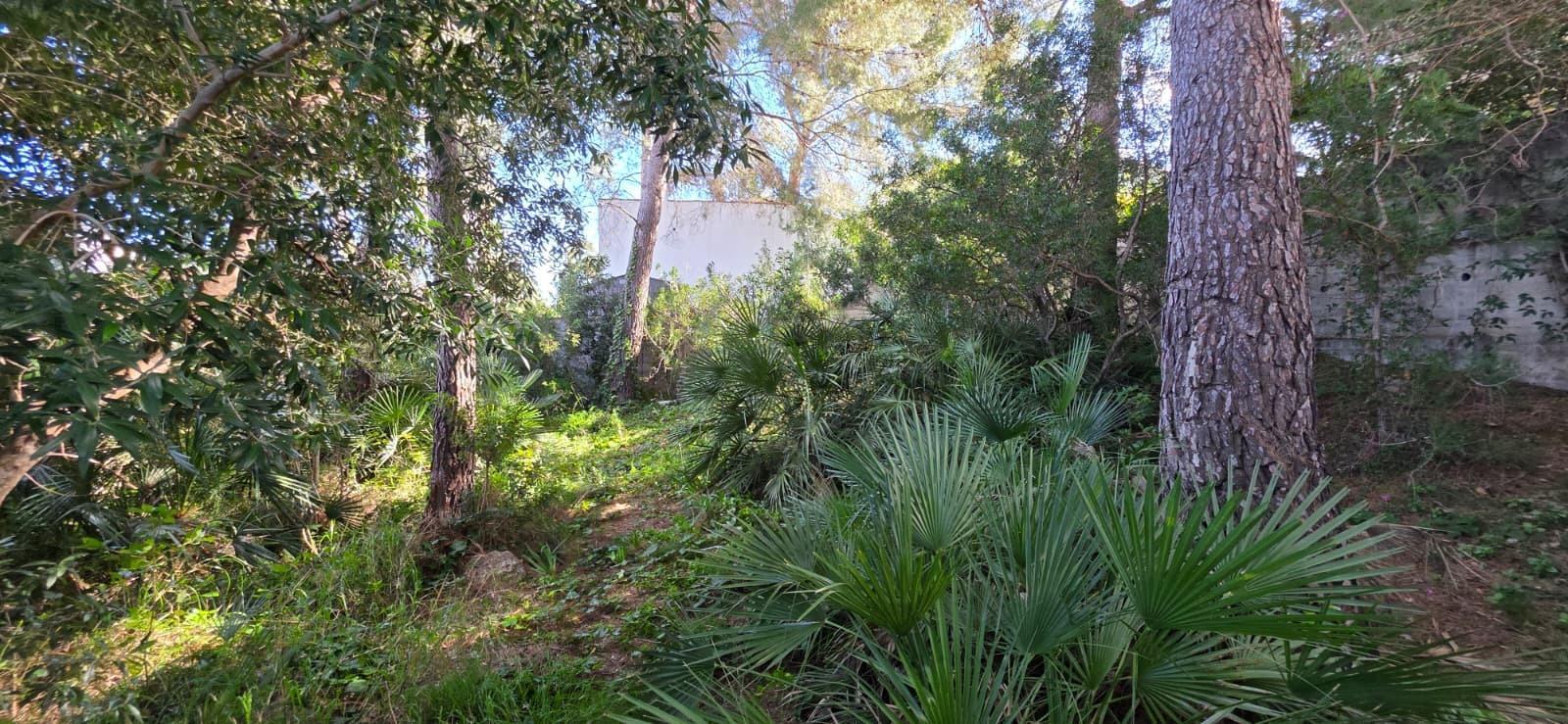 Chalet for Sale in L' Ametlla de Mar