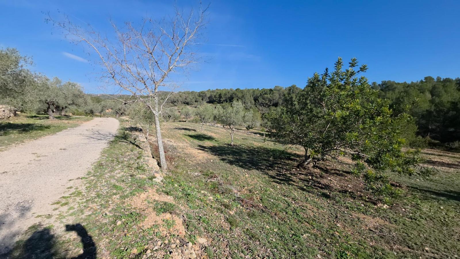 Finca en Venta en Tivissa