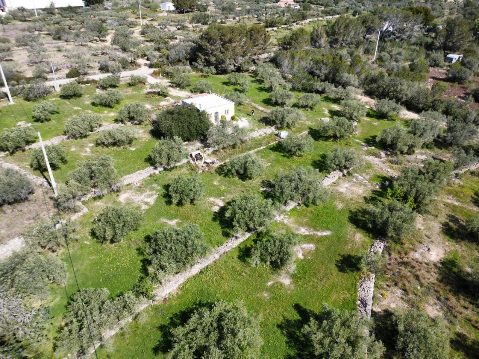 Finca en Venta en L' Ametlla de Mar