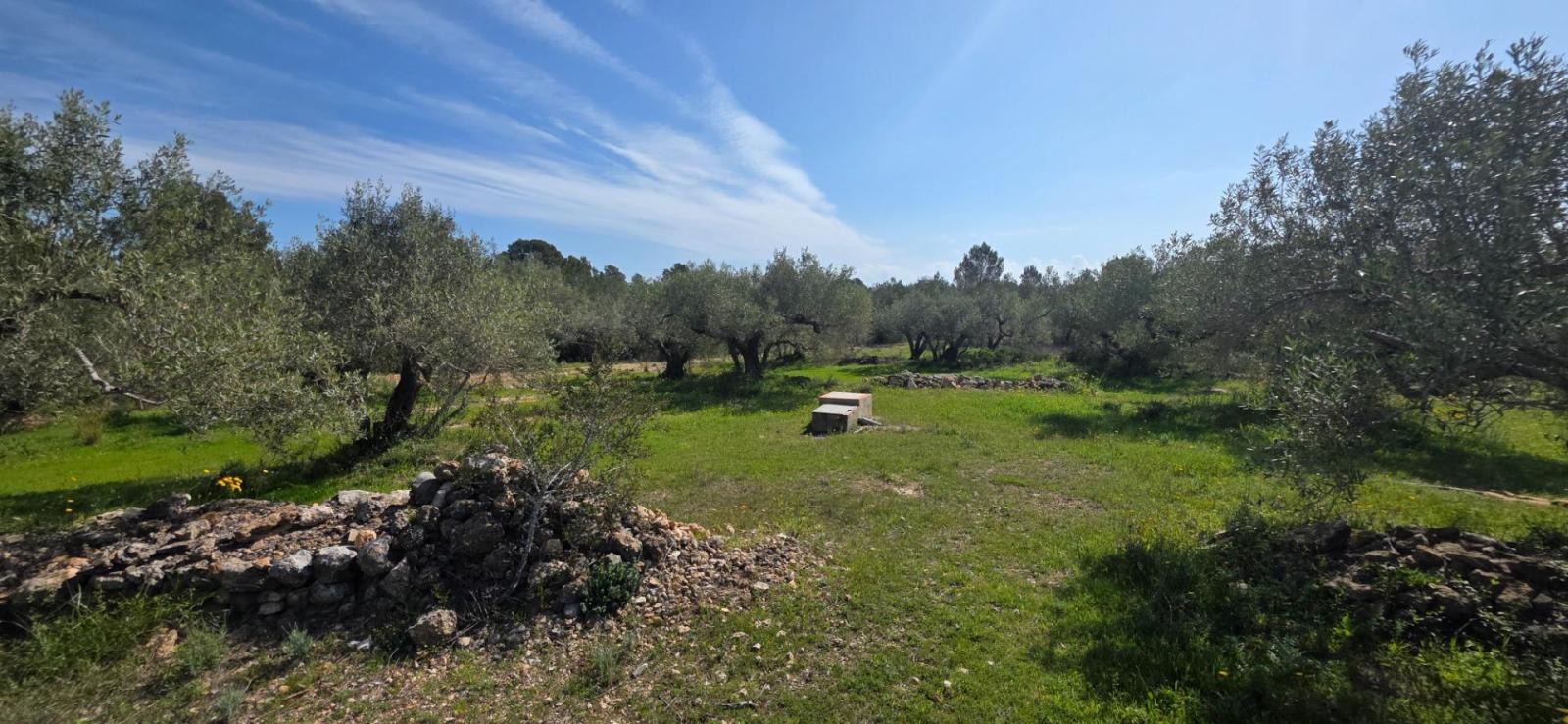Finca en Venta en L' Ametlla de Mar