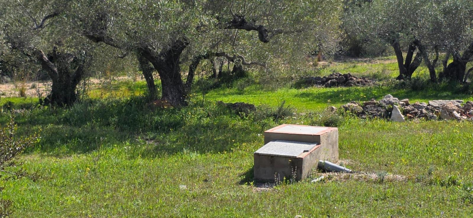 Finca en Venta en L' Ametlla de Mar