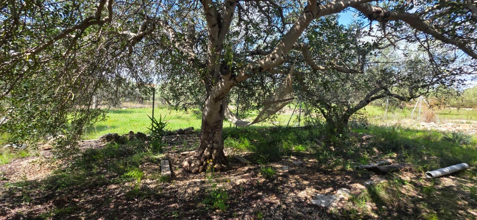 Finca en Venta en L' Ametlla de Mar