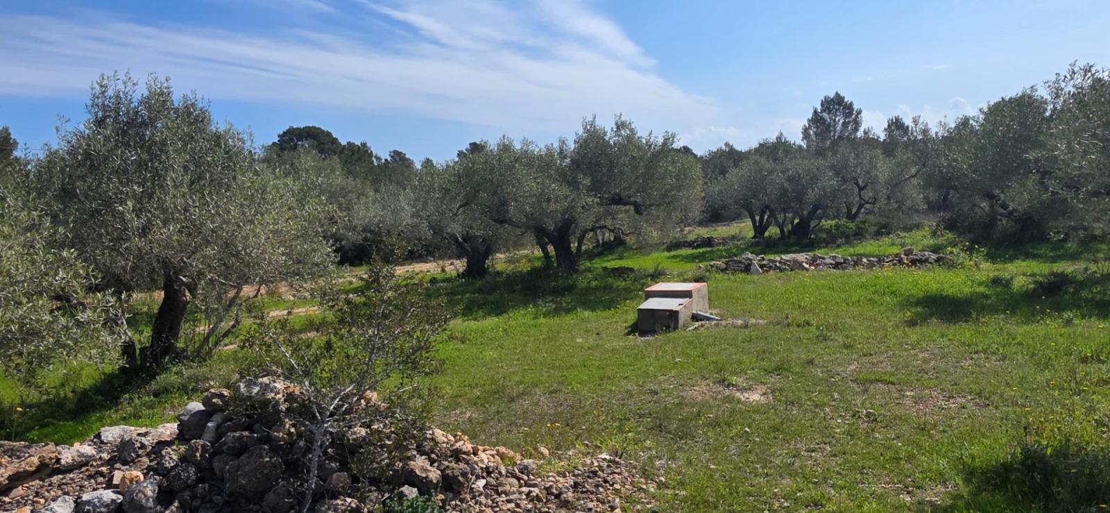 Finca en Venta en L' Ametlla de Mar