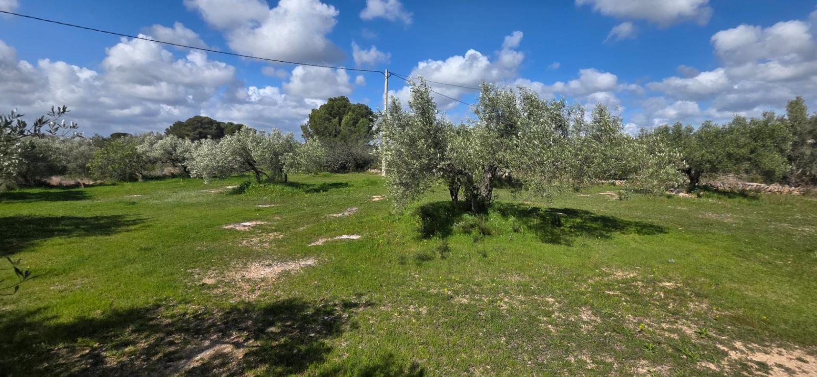 Finca en Venta en L' Ametlla de Mar