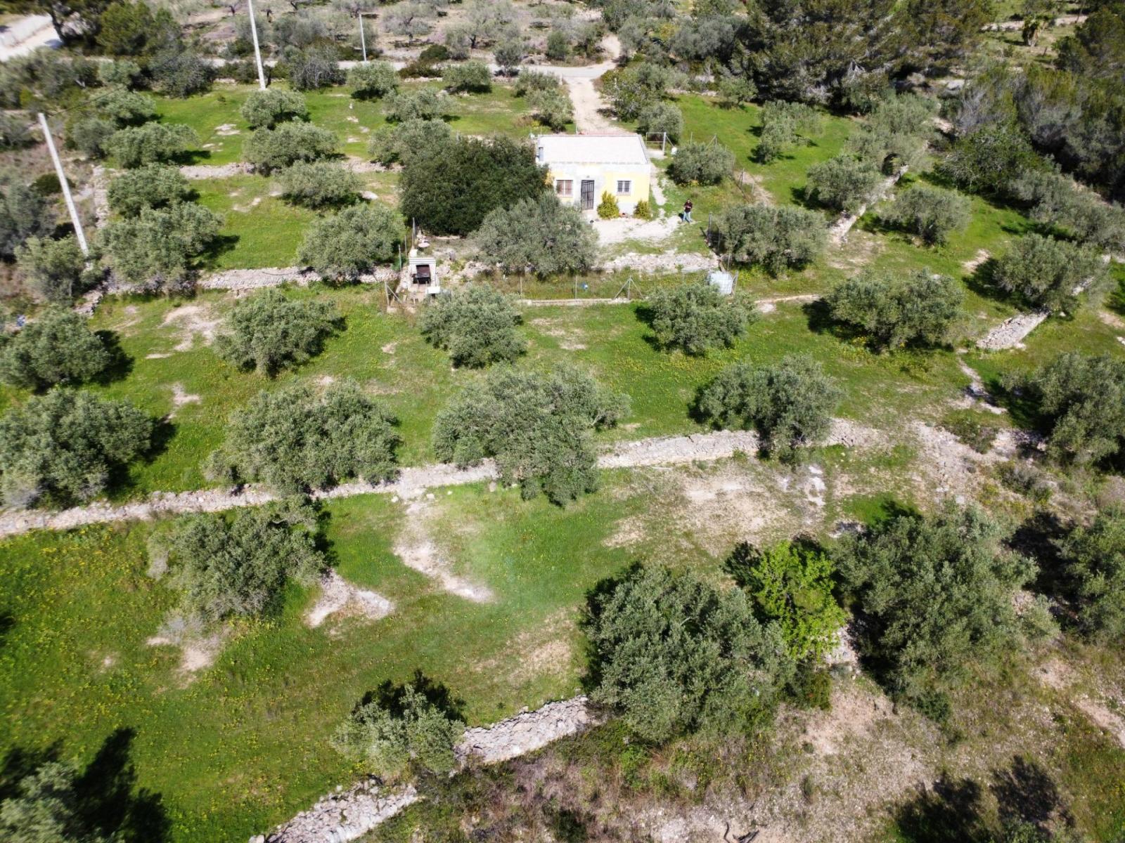 Finca en Venta en L' Ametlla de Mar