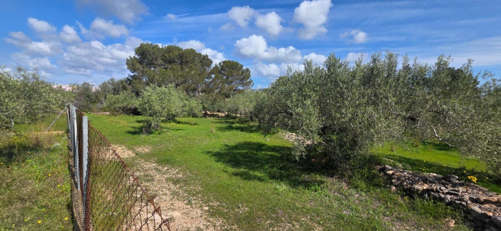 Finca en Venta en L' Ametlla de Mar