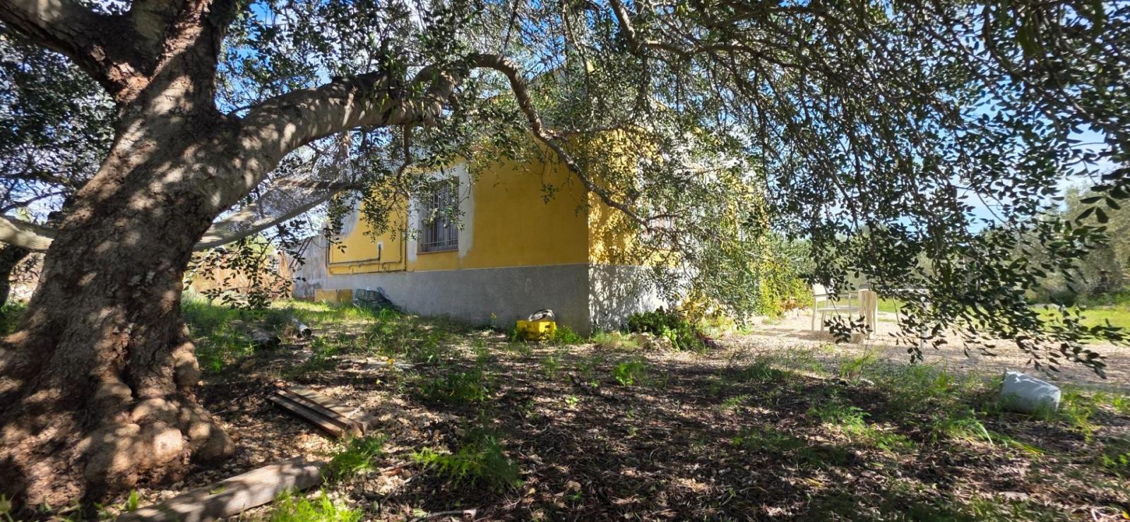 Finca en Venta en L' Ametlla de Mar