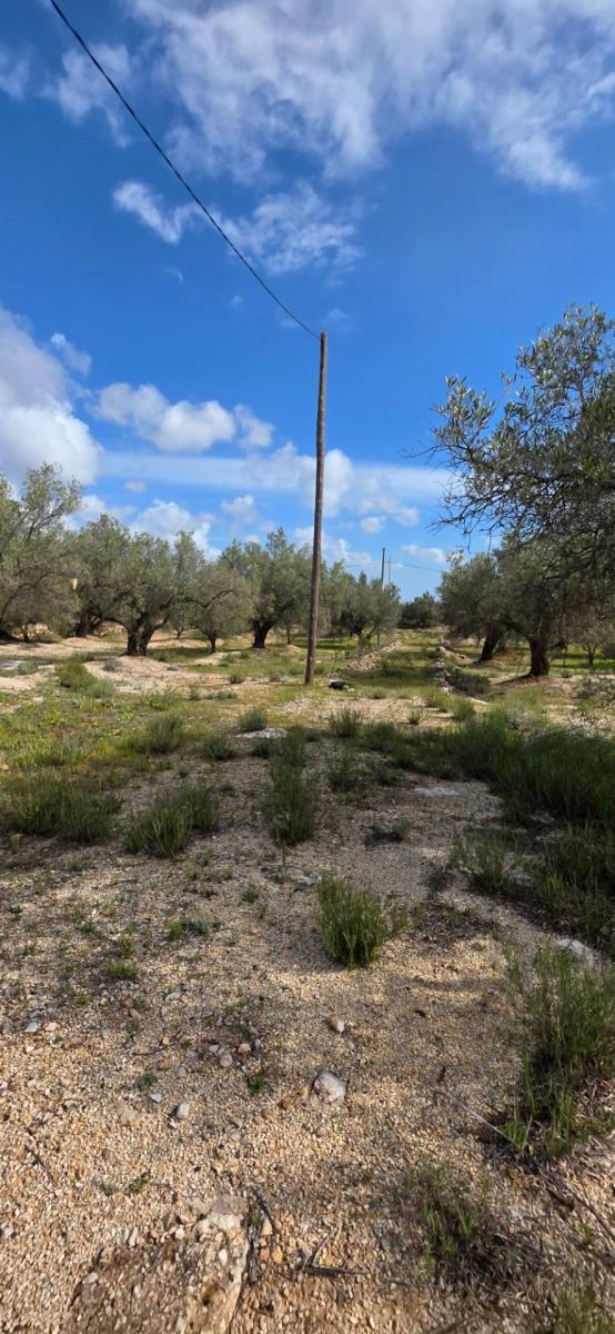 Finca en Venta en L' Ampolla