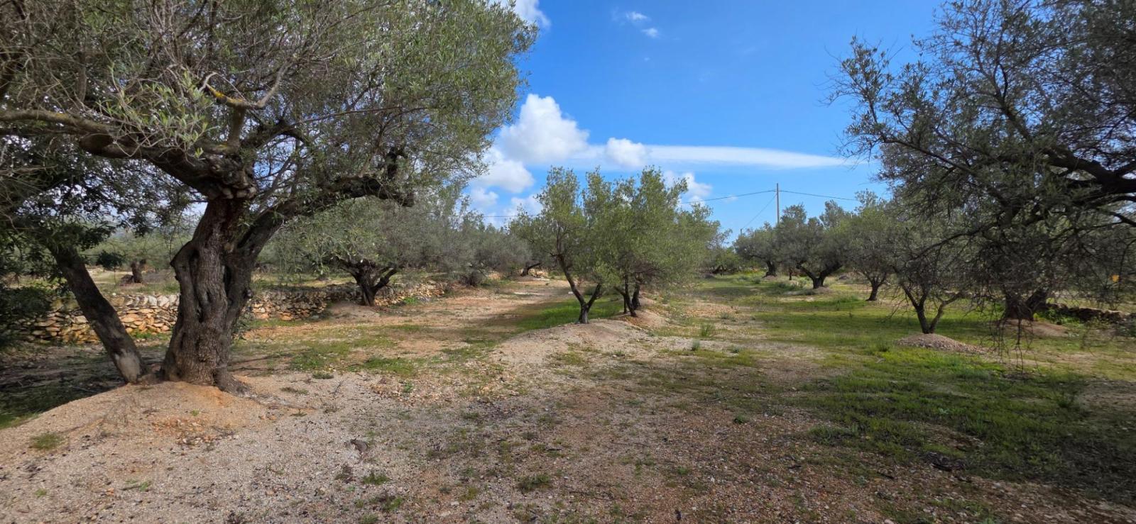 Finca en Venta en L' Ampolla