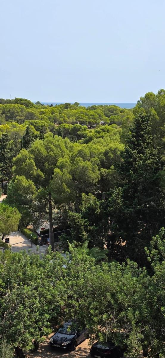 Flat for Sale in L' Ametlla de Mar