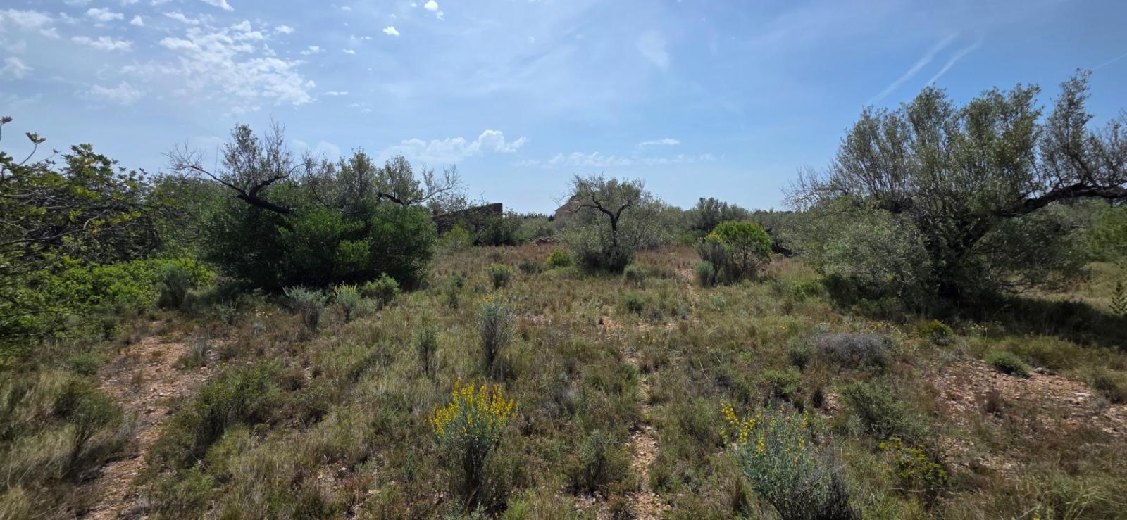 Finca en Venta en L' Ametlla de Mar