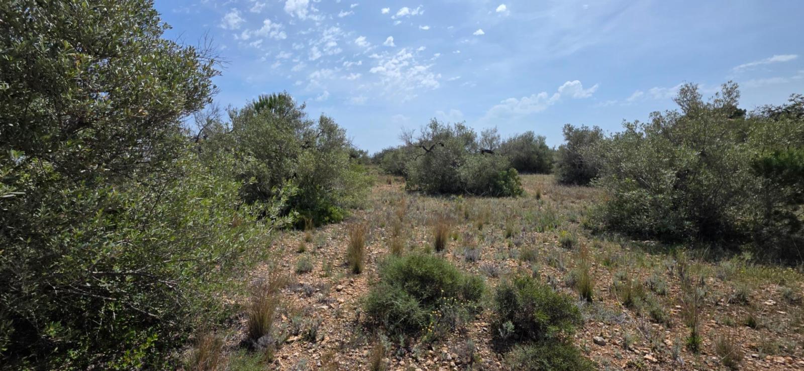 Finca en Venta en L' Ametlla de Mar
