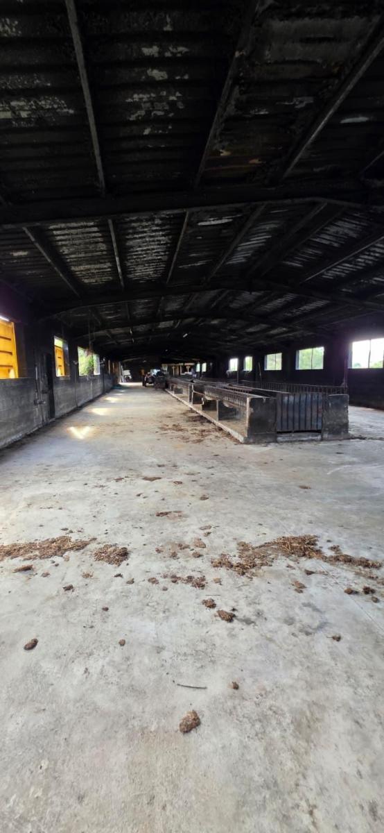 Finca en Venta en El Perelló
