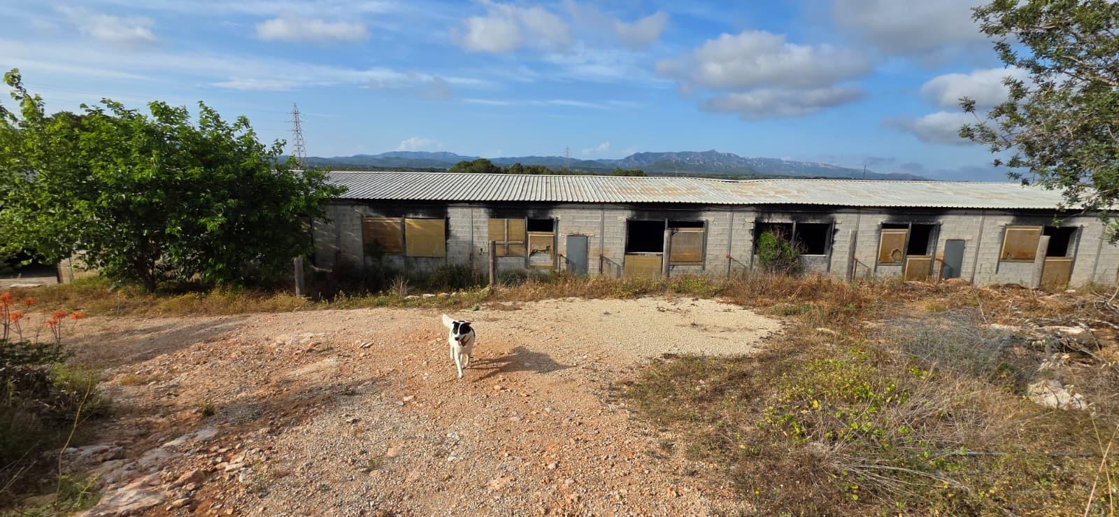 Finca en Venta en El Perelló