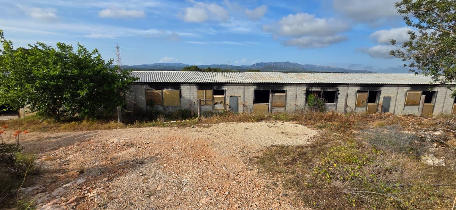 Finca en Venta en El Perelló