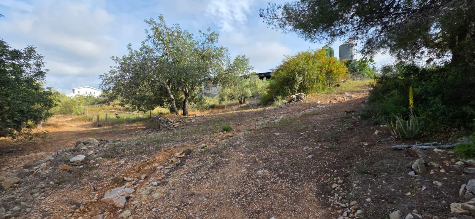 Finca en Venta en El Perelló