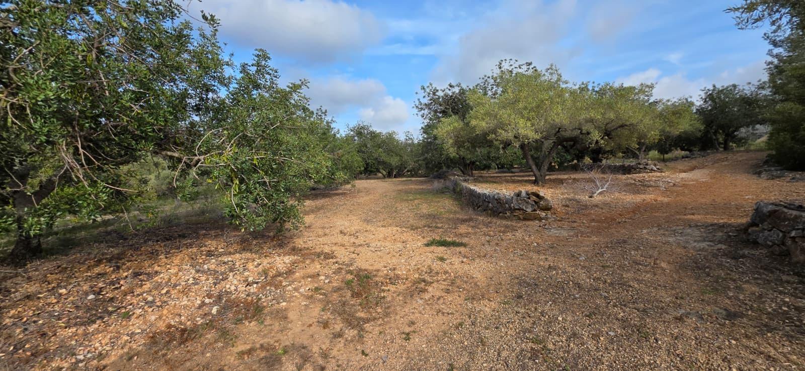 Finca en Venta en El Perelló
