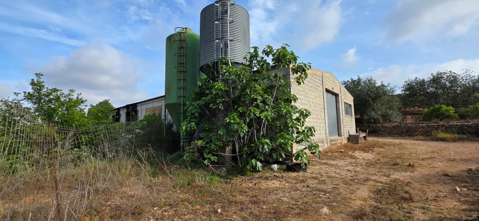 Finca en Venta en El Perelló