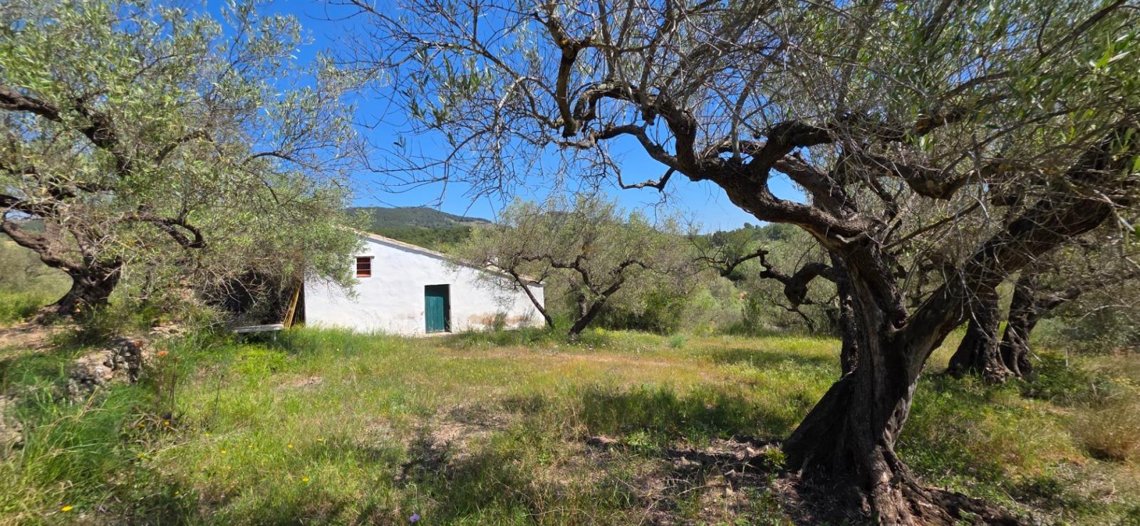 Finca en Venta en El Perelló