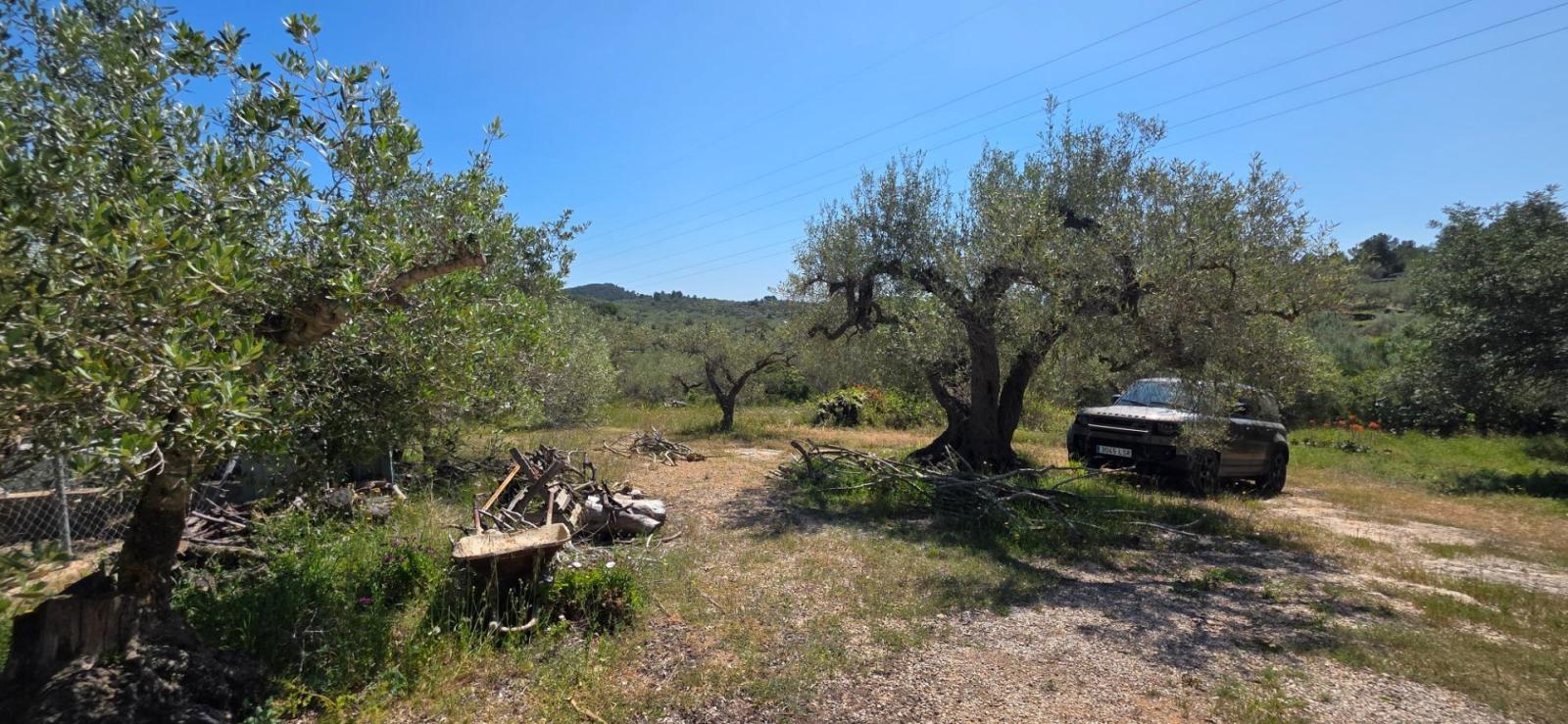 Finca en Venta en El Perelló
