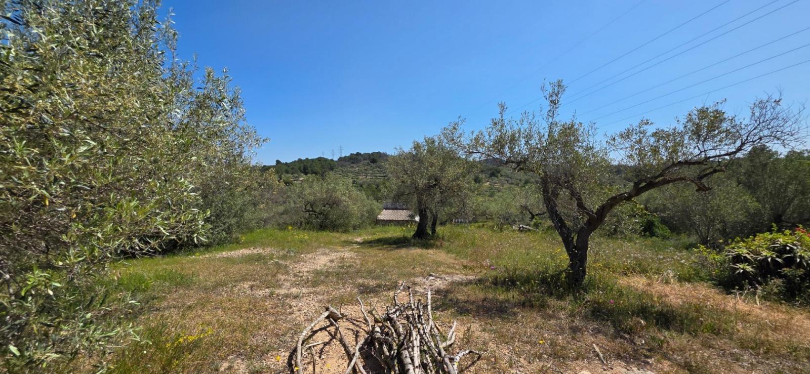 Finca en Venta en El Perelló