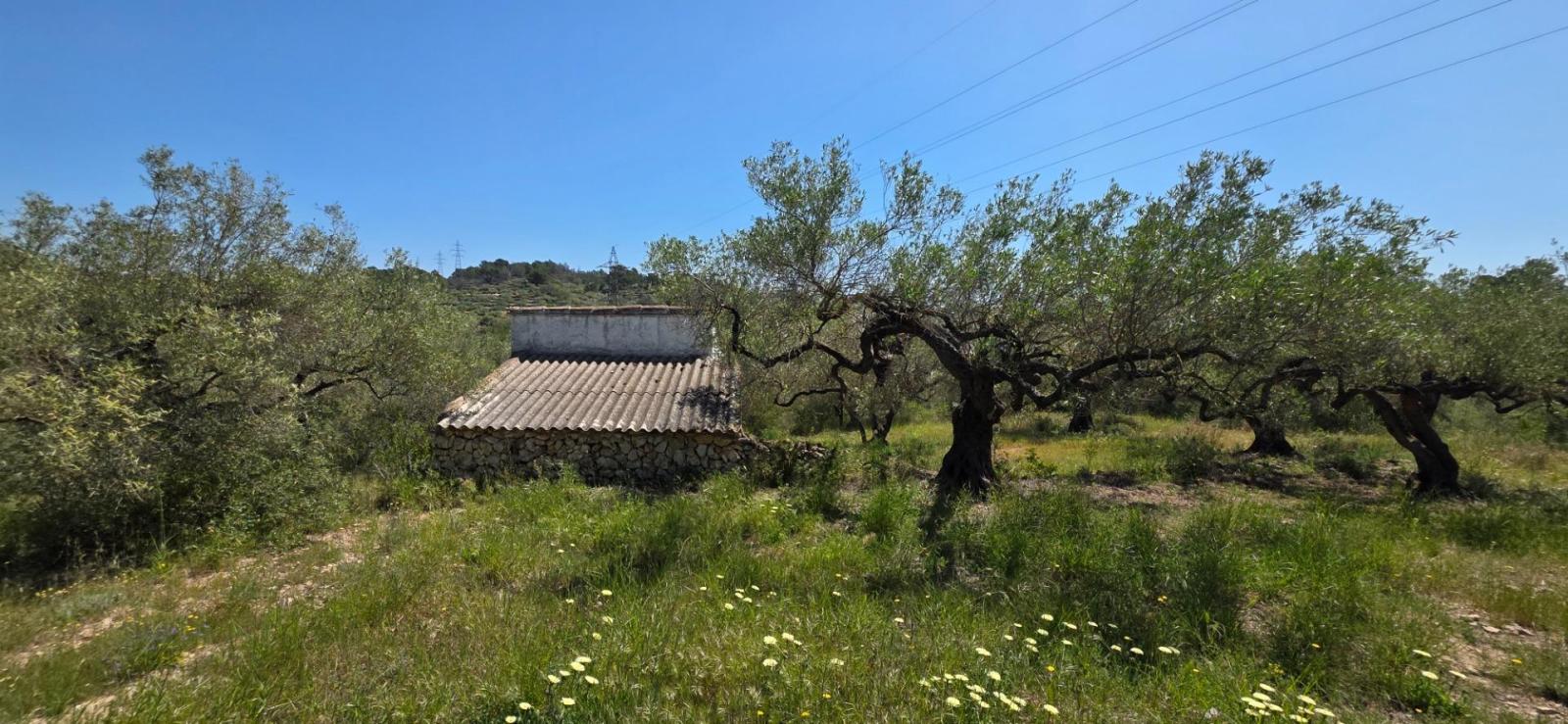 Finca en Venta en El Perelló