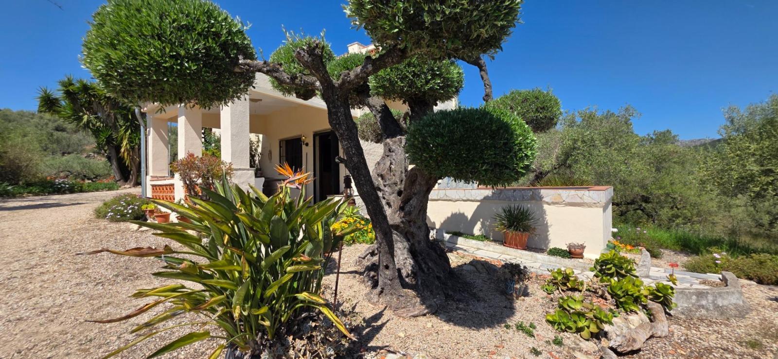 Finca en Venta en El Perelló