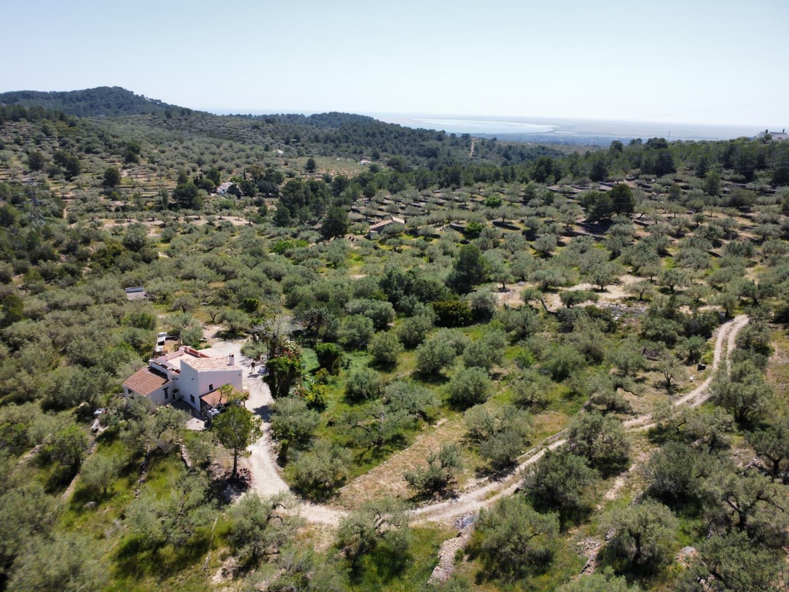 Finca en Venta en El Perelló