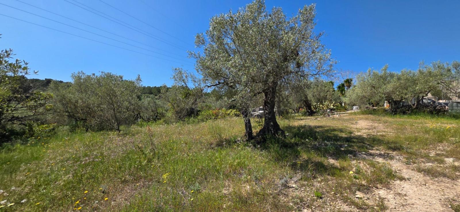 Finca en Venta en El Perelló