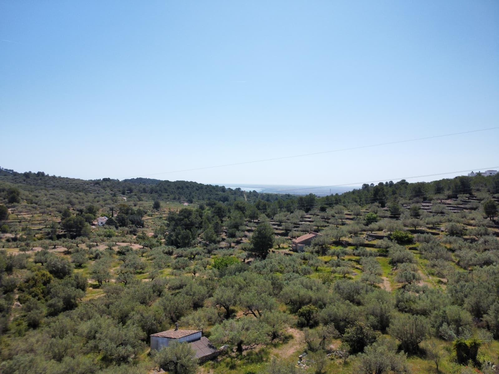Finca en Venta en El Perelló