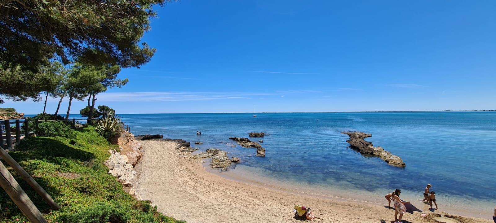 Premise for Sale in L' Ametlla de Mar
