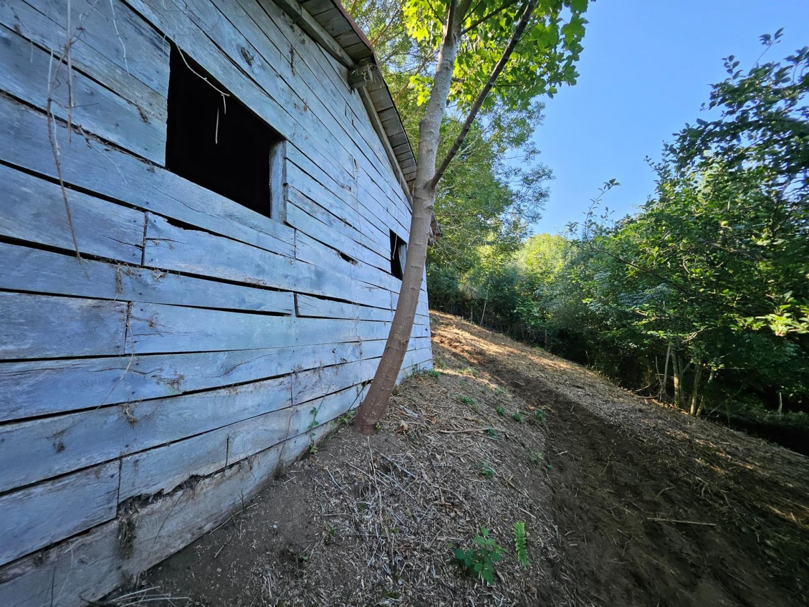 Finca en Venta en Allande