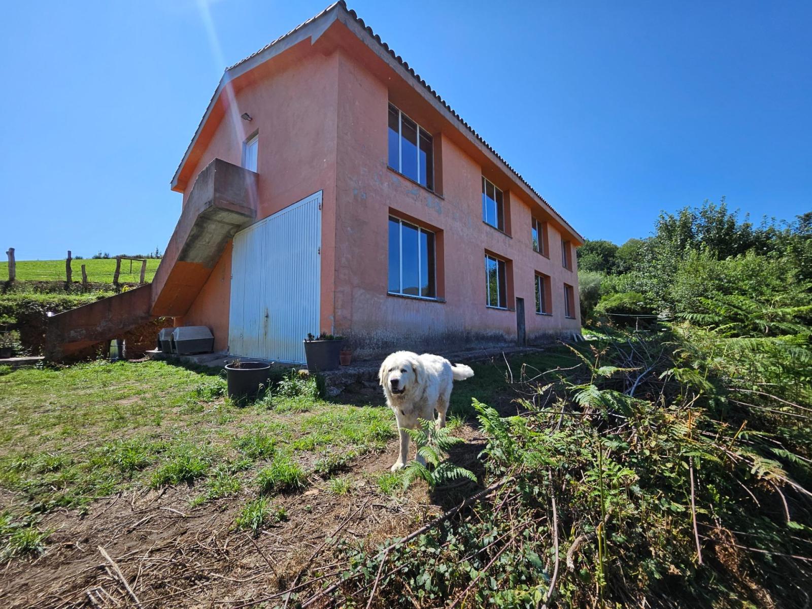 Finca en Venta en Allande