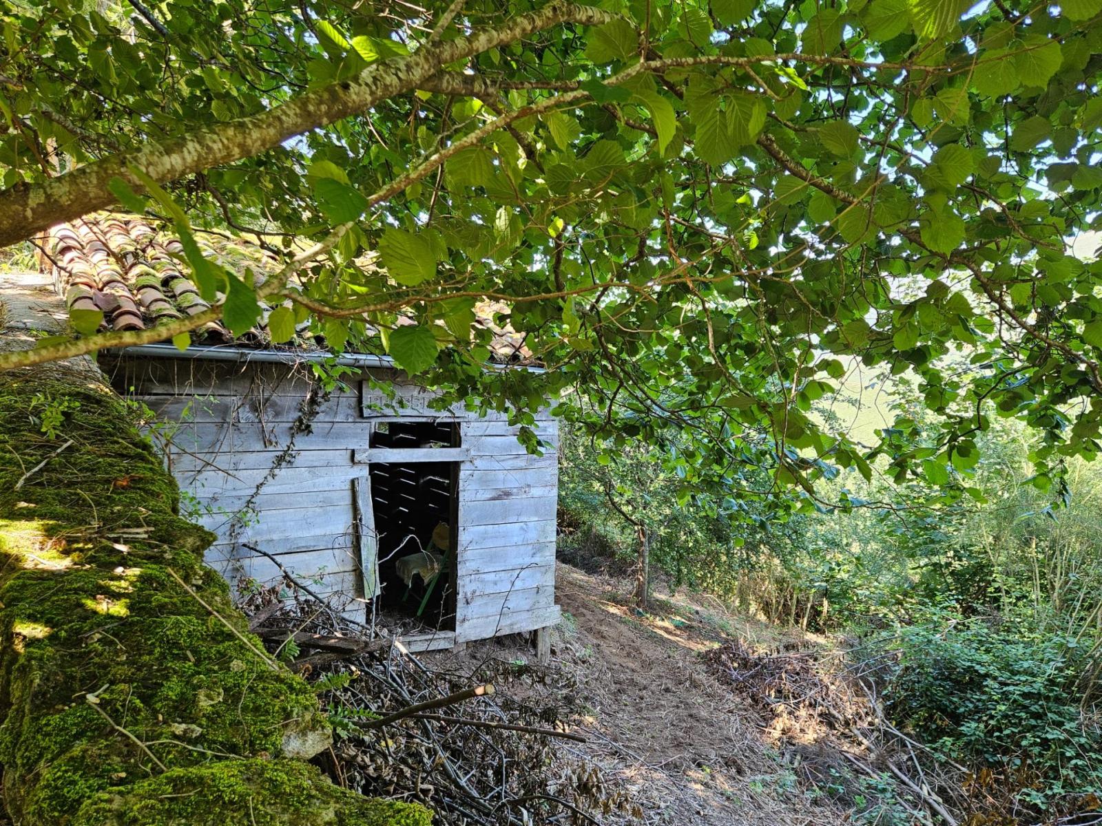 Finca en Venta en Allande