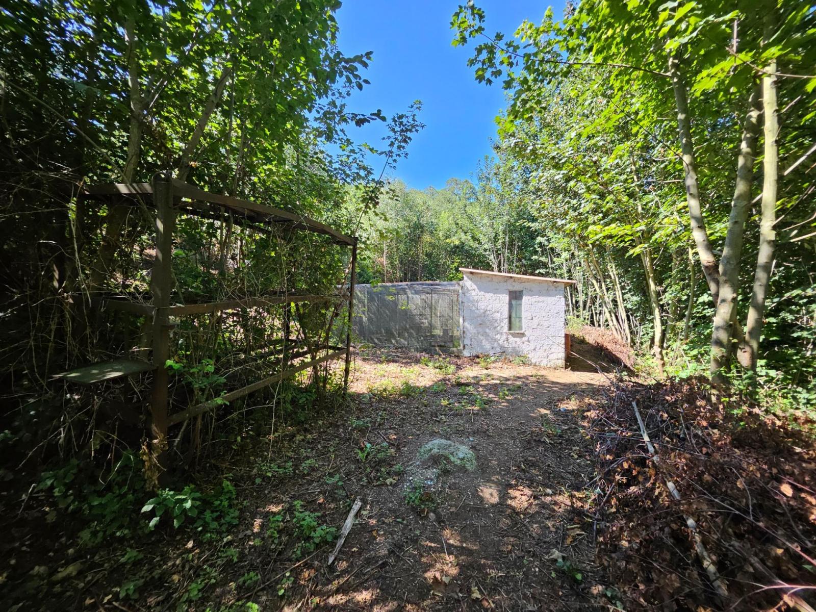 Finca en Venta en Allande