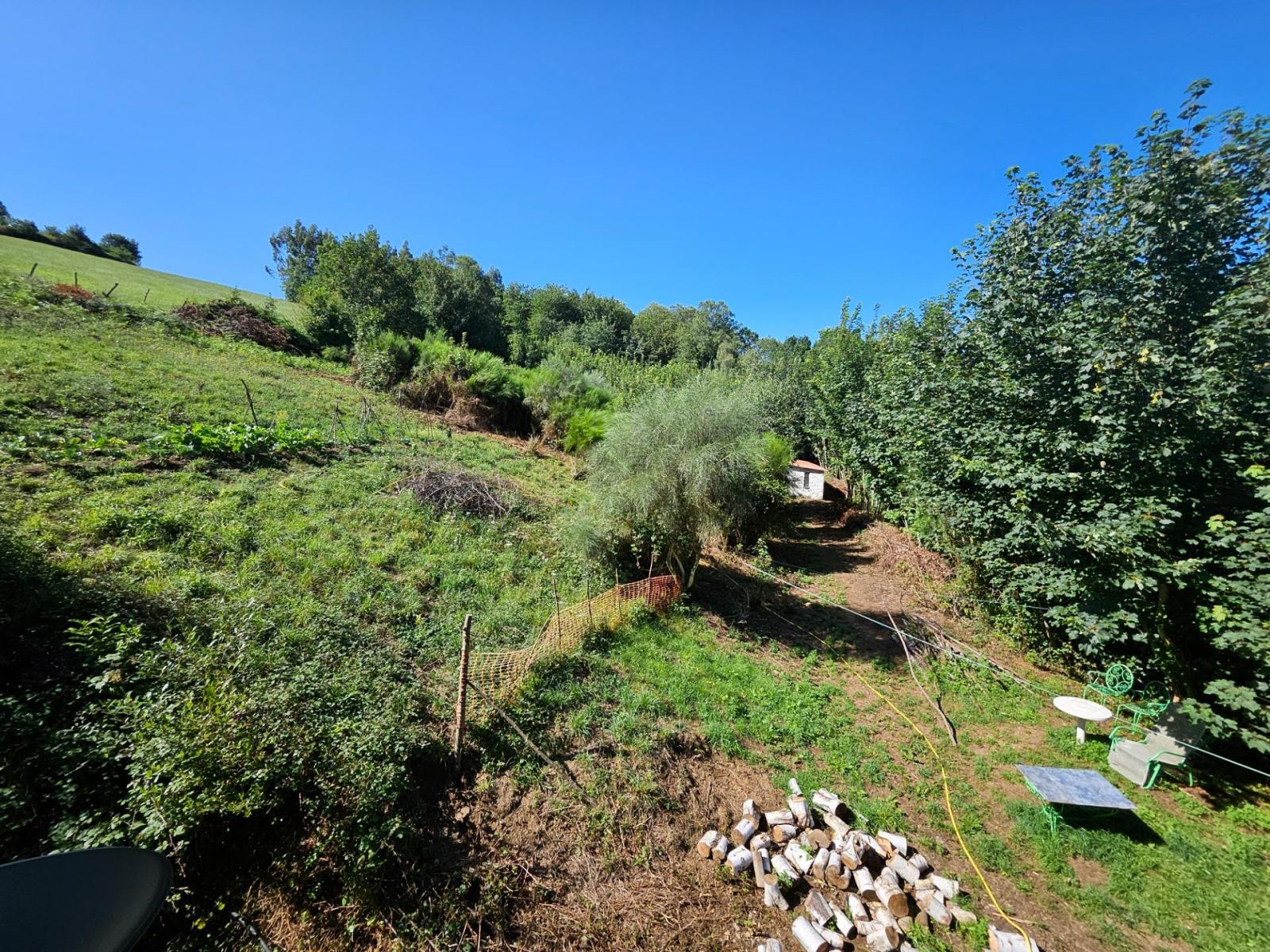 Finca en Venta en Allande