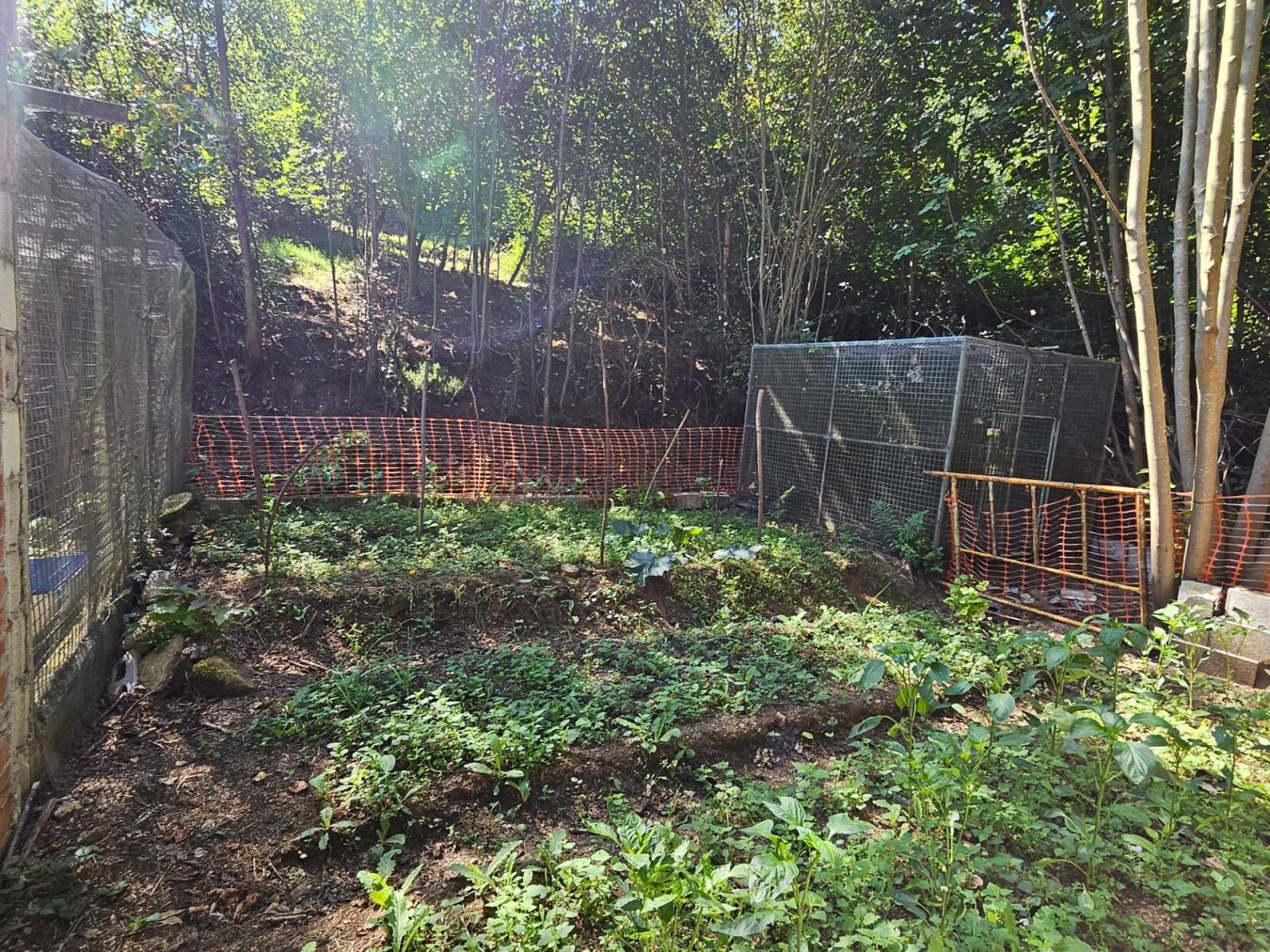 Finca en Venta en Allande